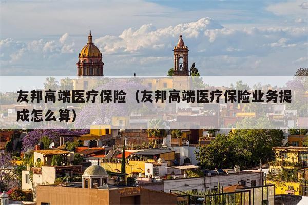 友邦高端医疗保险（友邦高端医疗保险业务提成怎么算）