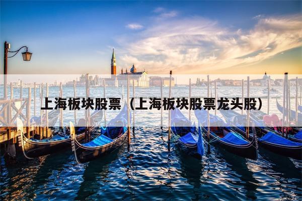 上海板块股票（上海板块股票龙头股）