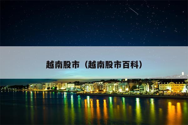 越南股市（越南股市百科）
