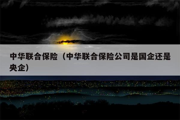 中华联合保险（中华联合保险公司是国企还是央企）
