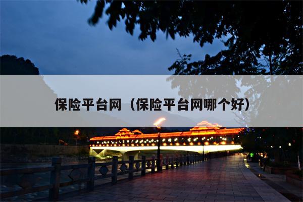 保险平台网（保险平台网哪个好）