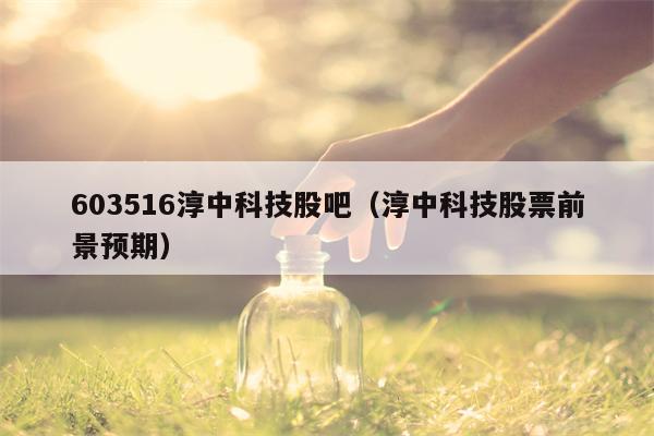 603516淳中科技股吧（淳中科技股票前景预期）