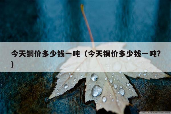 今天铜价多少钱一吨（今天铜价多少钱一吨?）