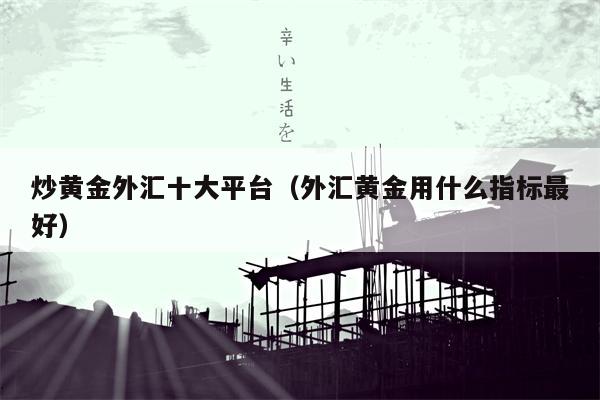 炒黄金外汇十大平台（外汇黄金用什么指标最好）