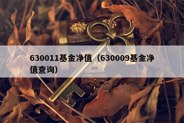 630011基金净值（630009基金净值查询）