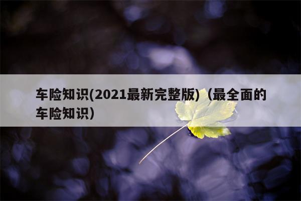 车险知识(2021最新完整版)（最全面的车险知识）