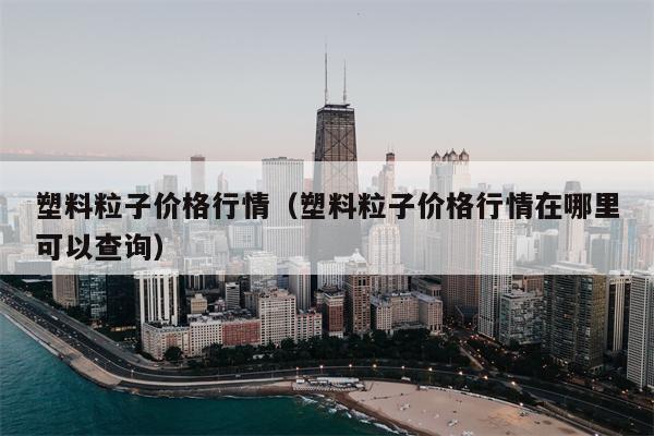 塑料粒子价格行情（塑料粒子价格行情在哪里可以查询）