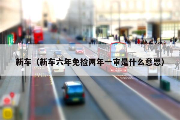 新车（新车六年免检两年一审是什么意思）