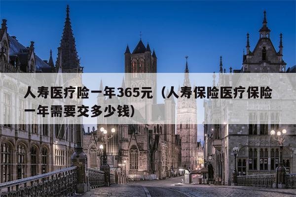 人寿医疗险一年365元（人寿保险医疗保险一年需要交多少钱）