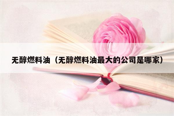 无醇燃料油（无醇燃料油最大的公司是哪家）