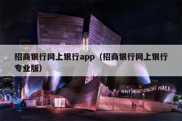 招商银行网上银行app（招商银行网上银行专业版）