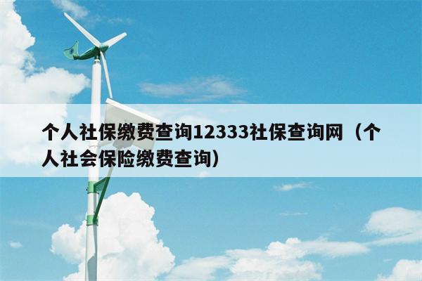 个人社保缴费查询12333社保查询网（个人社会保险缴费查询）
