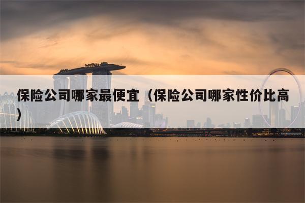 保险公司哪家最便宜（保险公司哪家性价比高）