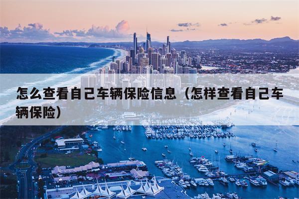 怎么查看自己车辆保险信息（怎样查看自己车辆保险）