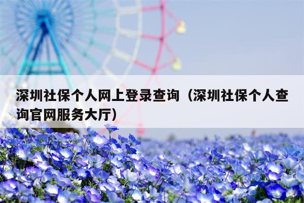 深圳社保个人网上登录查询（深圳社保个人查询官网服务大厅）