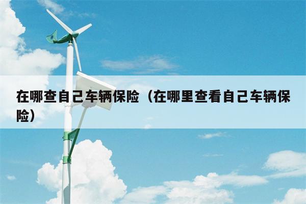 在哪查自己车辆保险（在哪里查看自己车辆保险）