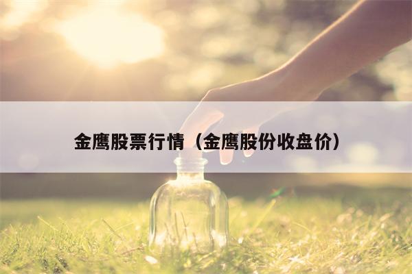 金鹰股票行情（金鹰股份收盘价）