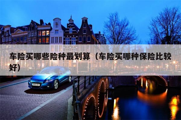 车险买哪些险种最划算（车险买哪种保险比较好）