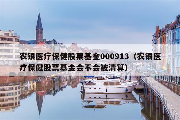 农银医疗保健股票基金000913（农银医疗保健股票基金会不会被清算）