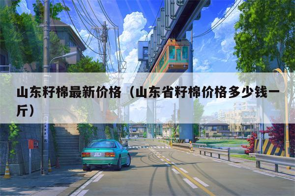 山东籽棉最新价格（山东省籽棉价格多少钱一斤）