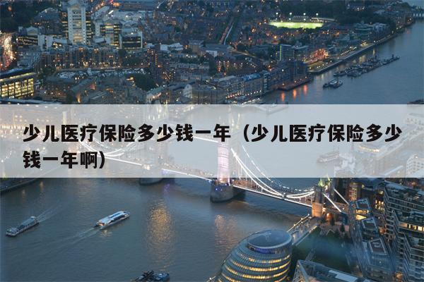 少儿医疗保险多少钱一年（少儿医疗保险多少钱一年啊）