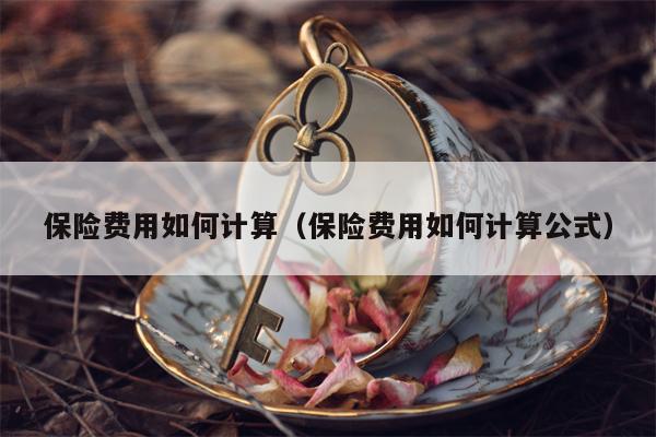 保险费用如何计算（保险费用如何计算公式）