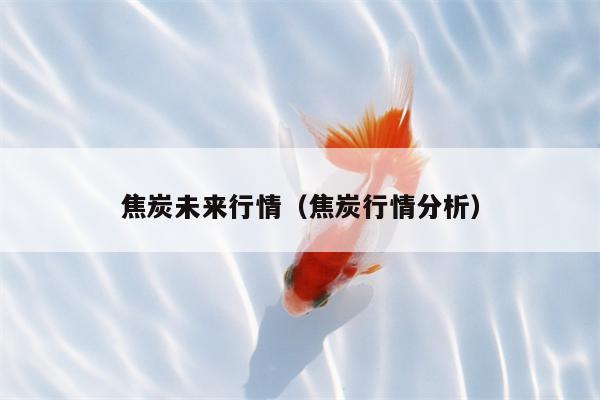 焦炭未来行情（焦炭行情分析）