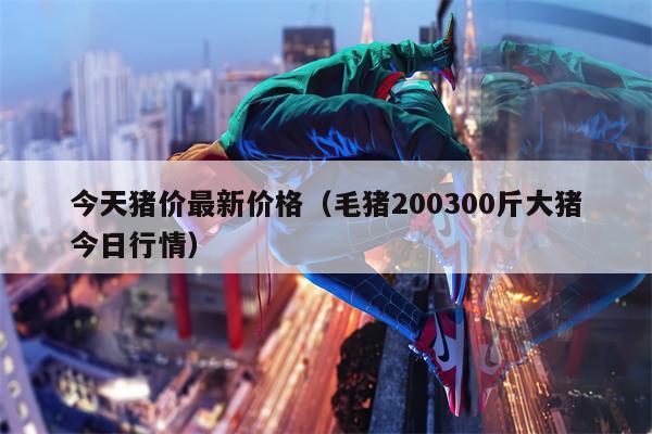 今天猪价最新价格（毛猪200300斤大猪今日行情）