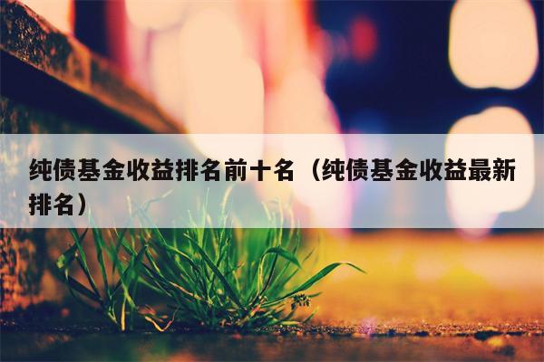 纯债基金收益排名前十名（纯债基金收益最新排名）