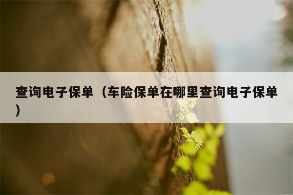 查询电子保单（车险保单在哪里查询电子保单）