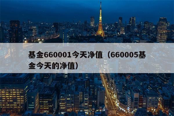 基金660001今天净值（660005基金今天的净值）