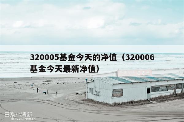 320005基金今天的净值（320006基金今天最新净值）