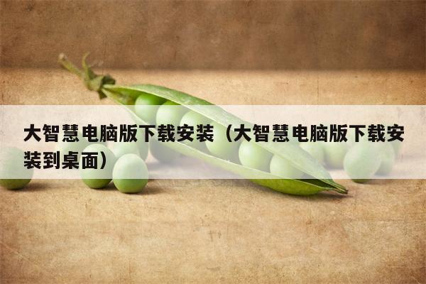 大智慧电脑版下载安装（大智慧电脑版下载安装到桌面）