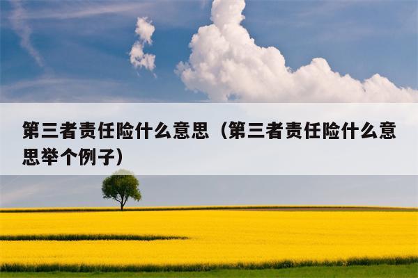 第三者责任险什么意思（第三者责任险什么意思举个例子）