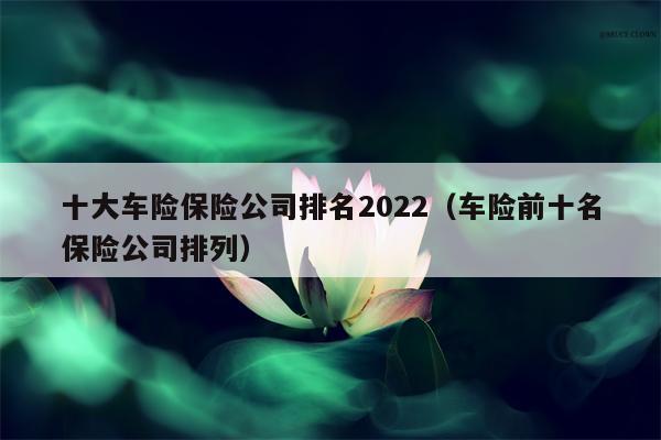 十大车险保险公司排名2022（车险前十名保险公司排列）