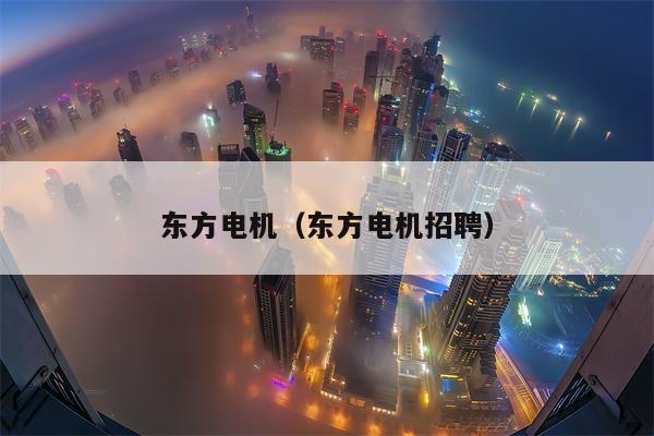 东方电机（东方电机招聘）