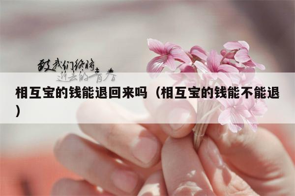 相互宝的钱能退回来吗（相互宝的钱能不能退）