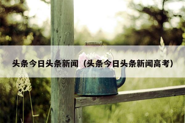 头条今日头条新闻（头条今日头条新闻高考）