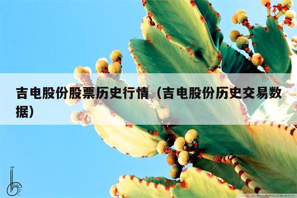 吉电股份股票历史行情（吉电股份历史交易数据）