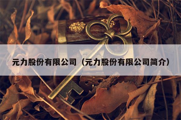 元力股份有限公司（元力股份有限公司简介）
