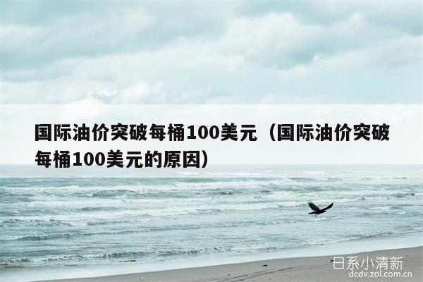 国际油价突破每桶100美元（国际油价突破每桶100美元的原因）