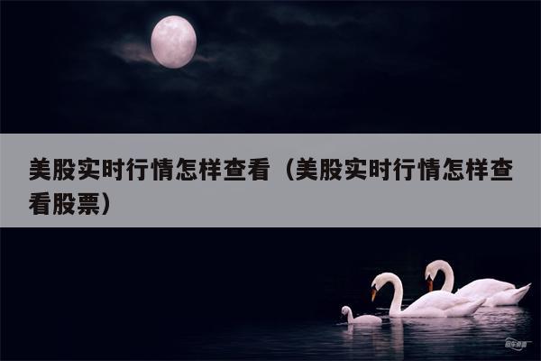 美股实时行情怎样查看（美股实时行情怎样查看股票）