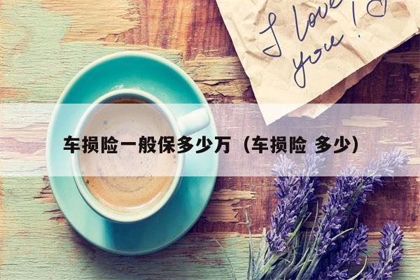 车损险一般保多少万（车损险 多少）
