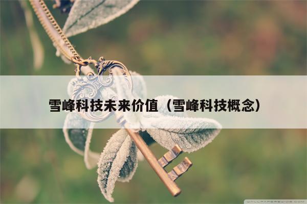 雪峰科技未来价值（雪峰科技概念）