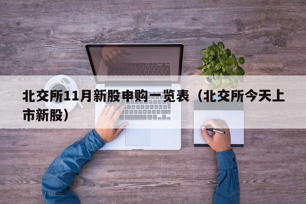 北交所11月新股申购一览表（北交所今天上市新股）