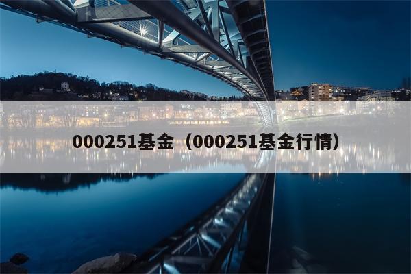 000251基金（000251基金行情）