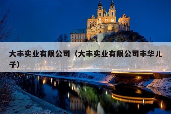 大丰实业有限公司（大丰实业有限公司丰华儿子）
