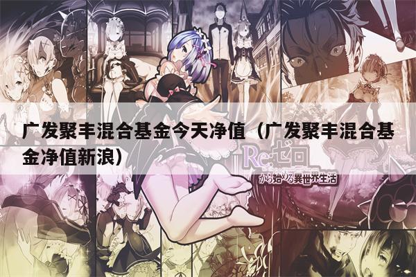 广发聚丰混合基金今天净值（广发聚丰混合基金净值新浪）