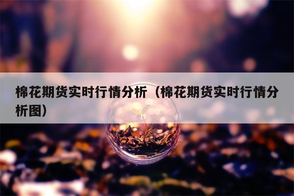 棉花期货实时行情分析（棉花期货实时行情分析图）