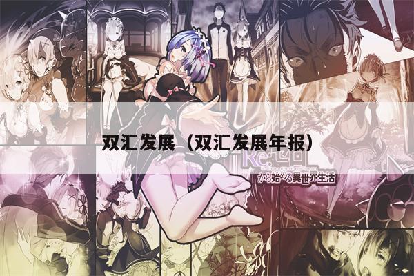 双汇发展（双汇发展年报）